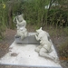 wandeling in Brasschhat 21-02013 051
