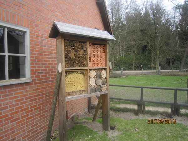 wandeling in Brasschhat 21-02013 054