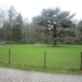 wandeling in Brasschhat 21-02013 063