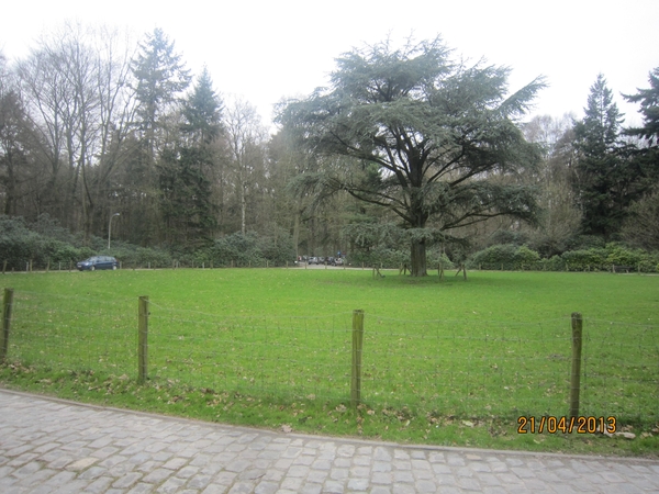 wandeling in Brasschhat 21-02013 063