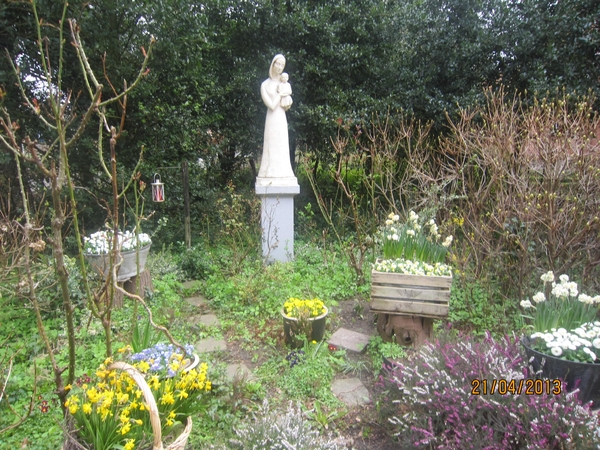 wandeling in Brasschhat 21-02013 070