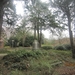 wandeling in Brasschhat 21-02013 072