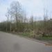 wandeling in Brasschhat 21-02013 079