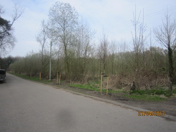 wandeling in Brasschhat 21-02013 079