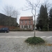 wandeling in Brasschhat 21-02013 087