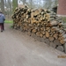 wandeling in Brasschhat 21-02013 092