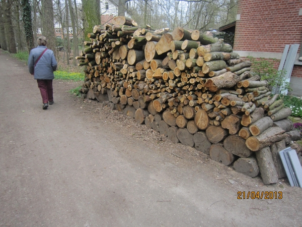 wandeling in Brasschhat 21-02013 092