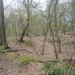 wandeling in Brasschhat 21-02013 097