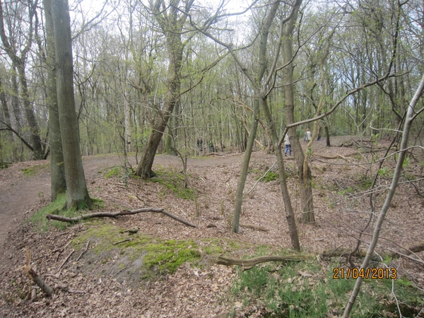 wandeling in Brasschhat 21-02013 097