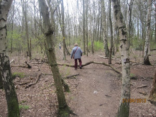 wandeling in Brasschhat 21-02013 098