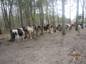wandeling in Brasschhat 21-02013 105