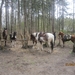 wandeling in Brasschhat 21-02013 106