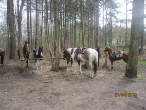 wandeling in Brasschhat 21-02013 106