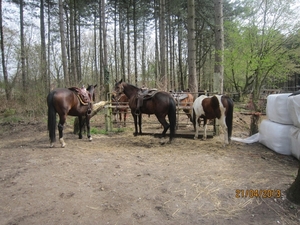 wandeling in Brasschhat 21-02013 107
