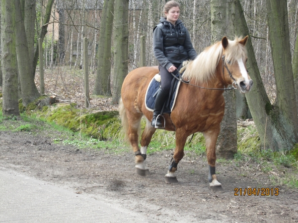 wandeling in Brasschhat 21-02013 112