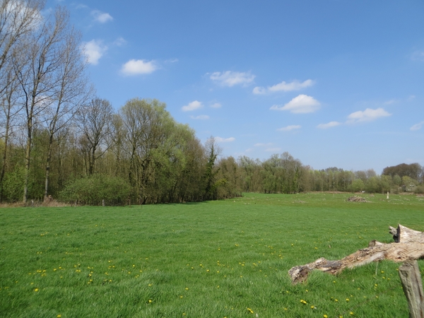 2013-04-24 Opwijk 011