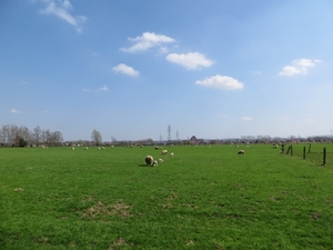 2013-04-24 Opwijk 013