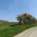 2013-04-25 Avennes 023