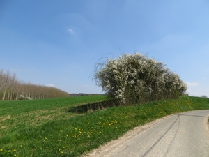 2013-04-25 Avennes 023