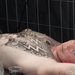 Tattooconvention Hamme-1137