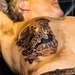 Tattooconvention Hamme-1203