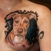Tattooconvention Hamme-1421