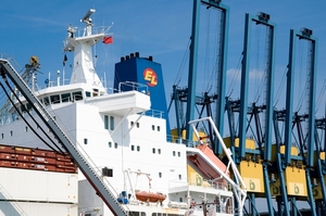 Fruitschip