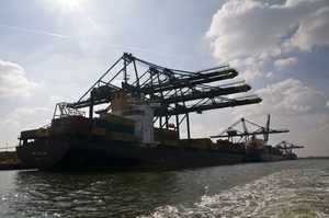 MSC home terminal