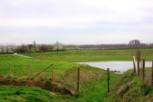 Bloesemtocht Borgloon