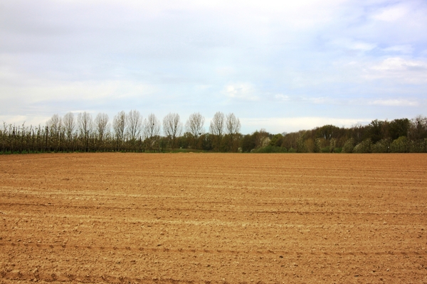 Bloesemtocht Borgloon