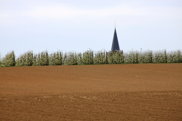 Bloesemtocht Borgloon