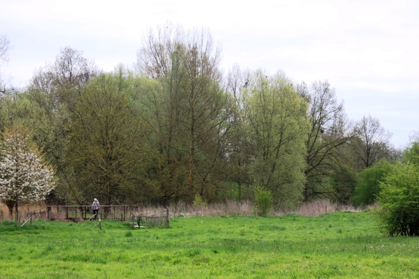 Bloesemtocht Borgloon