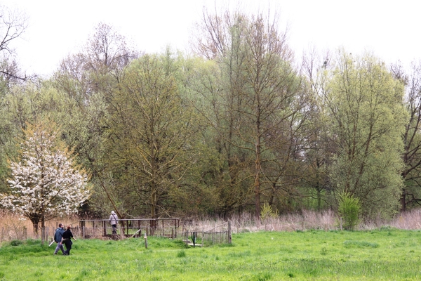 Bloesemtocht Borgloon