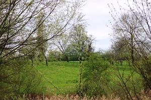 Bloesemtocht Borgloon