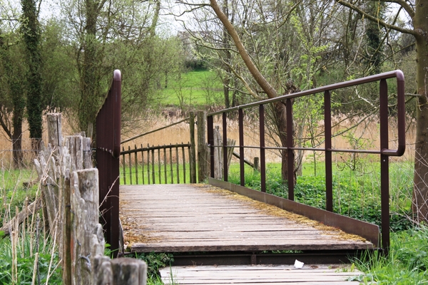 Bloesemtocht Borgloon