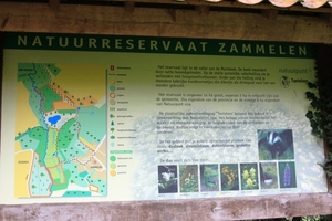 Bloesemtocht Borgloon