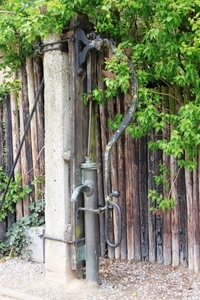 Bloesemtocht Borgloon