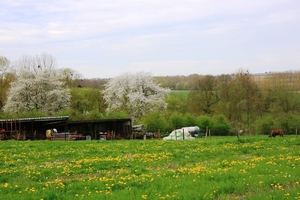 Bloesemtocht Borgloon