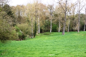 Bloesemtocht Borgloon