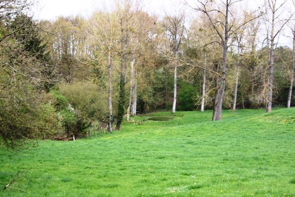 Bloesemtocht Borgloon