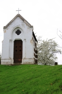 Bloesemtocht Borgloon