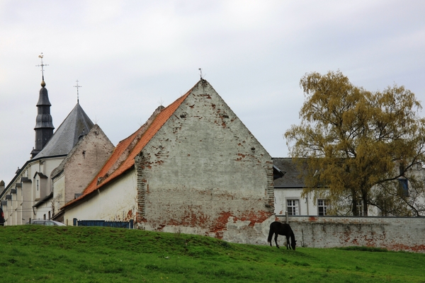Bloesemtocht Borgloon