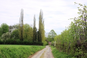 Bloesemtocht Borgloon