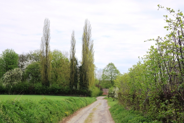 Bloesemtocht Borgloon