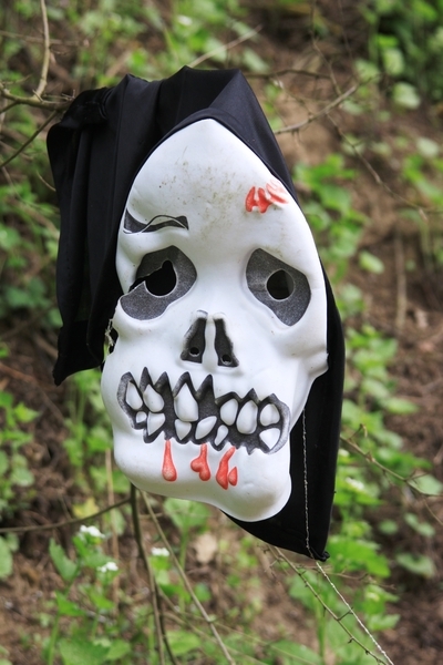 Bloesemtocht Borgloon