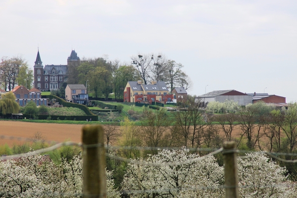 Bloesemtocht Borgloon