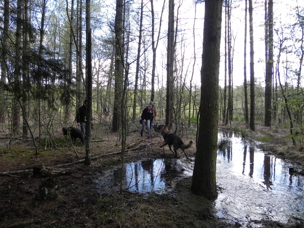 een droge weg zoeken