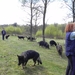 alle 8 op n plaatje