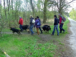 BILD4693