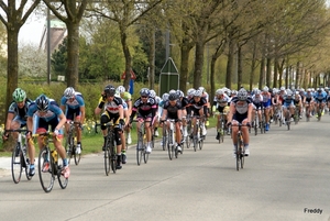 PROV. KAMP. ELITE ZONDER CONTRAKT-RUMBEKE 2013